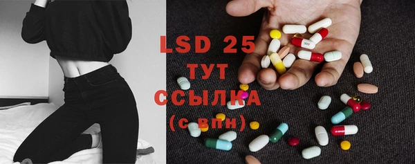 ECSTASY Нязепетровск