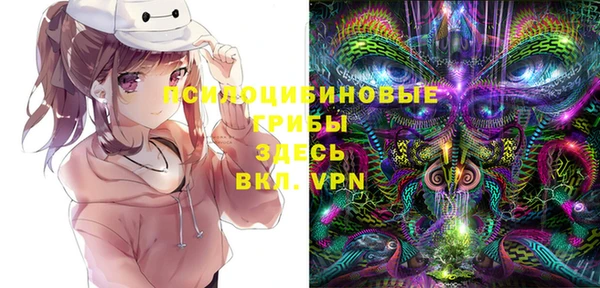 ALPHA-PVP Няндома