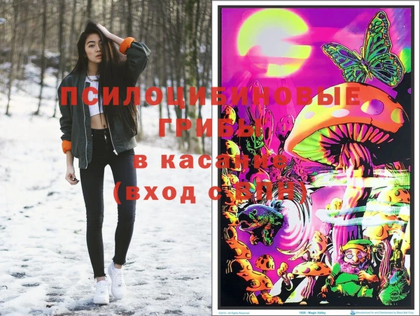 ECSTASY Нязепетровск