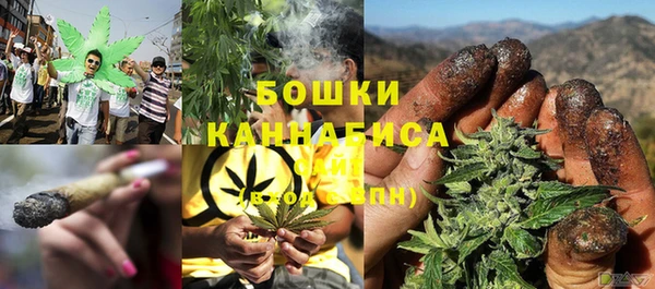 гидропоника Нягань