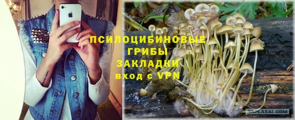ALPHA-PVP Няндома